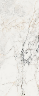 Керамогранит Imola Ceramica Aesthetica Paonazzetto LP  (60x120) арт. AePao612LP